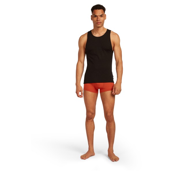 Icebreaker - Merino 125 Cool-Lite Anatomica Trunks - Sous-vêtement mérinos