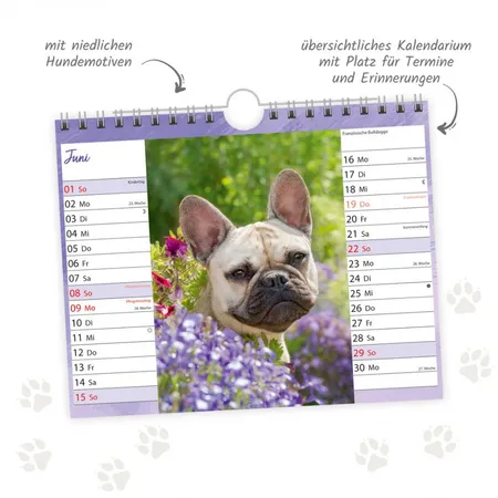 Trötsch Postkartenkalender 