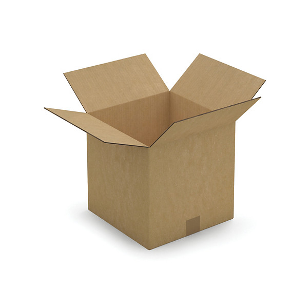 Caisse carton brune double cannelure RAJA 30x30x30 cm, lot de 15
