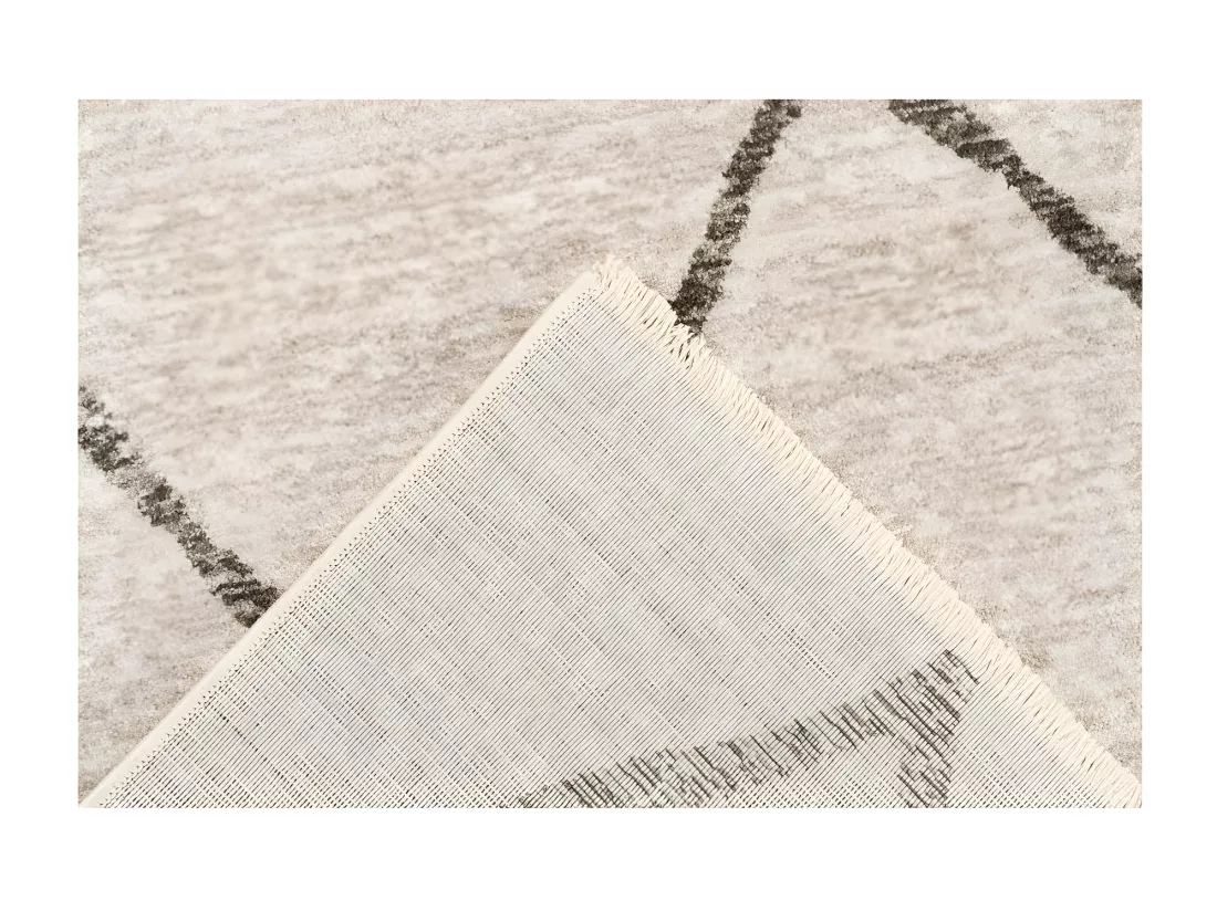 Tapis 290x200cm, design A105R coloris beige - Confort et élégance pour votre intérieur