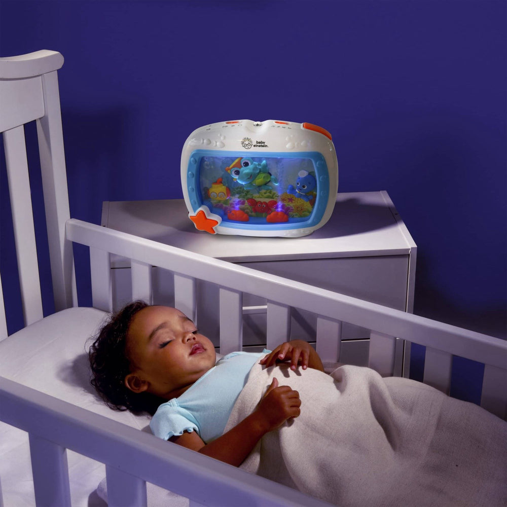 Køb Baby Einstein Sea Dreams Soother