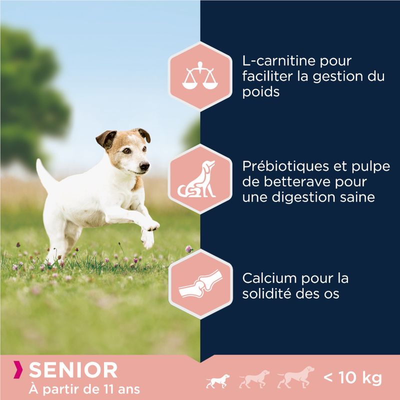 Eukanuba Caring Senior Small Breed, poulet