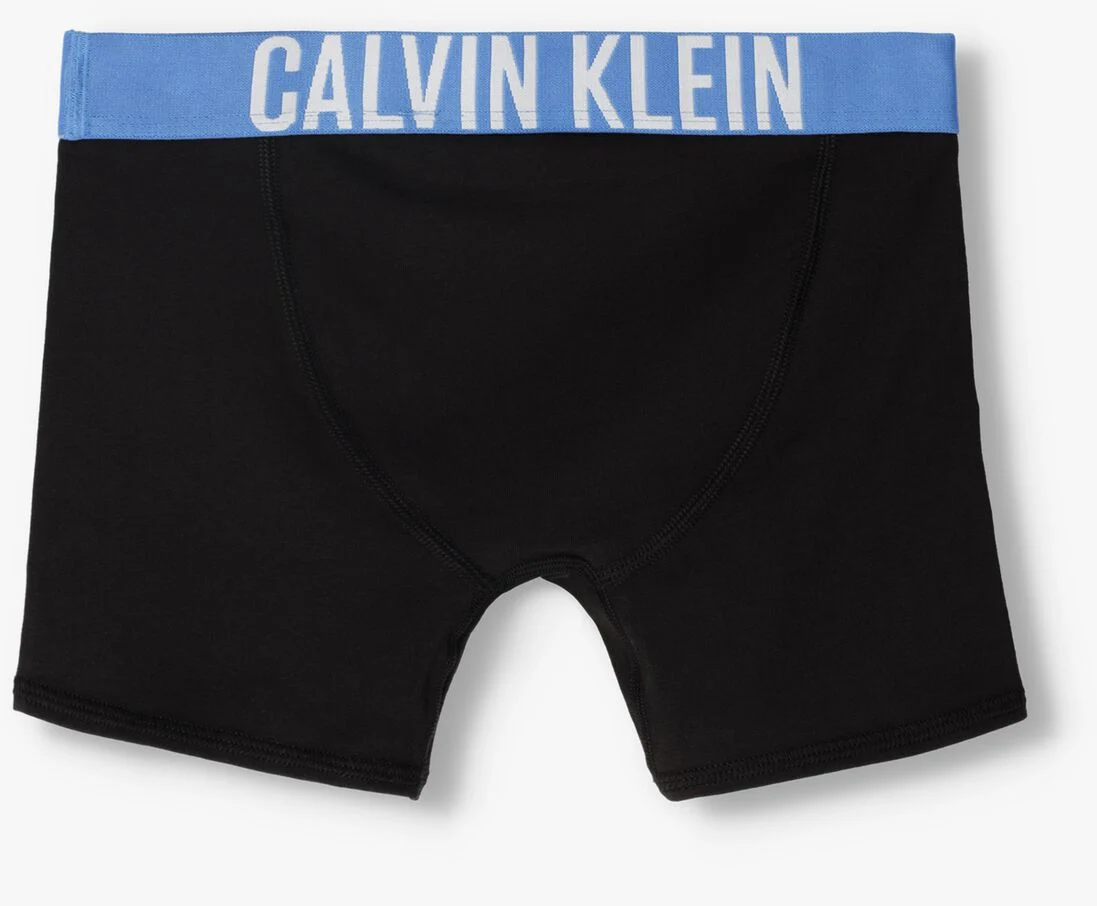 CALVIN KLEIN UNDERWEAR multi calvin klein underwear boxershort 2pk boxer brief