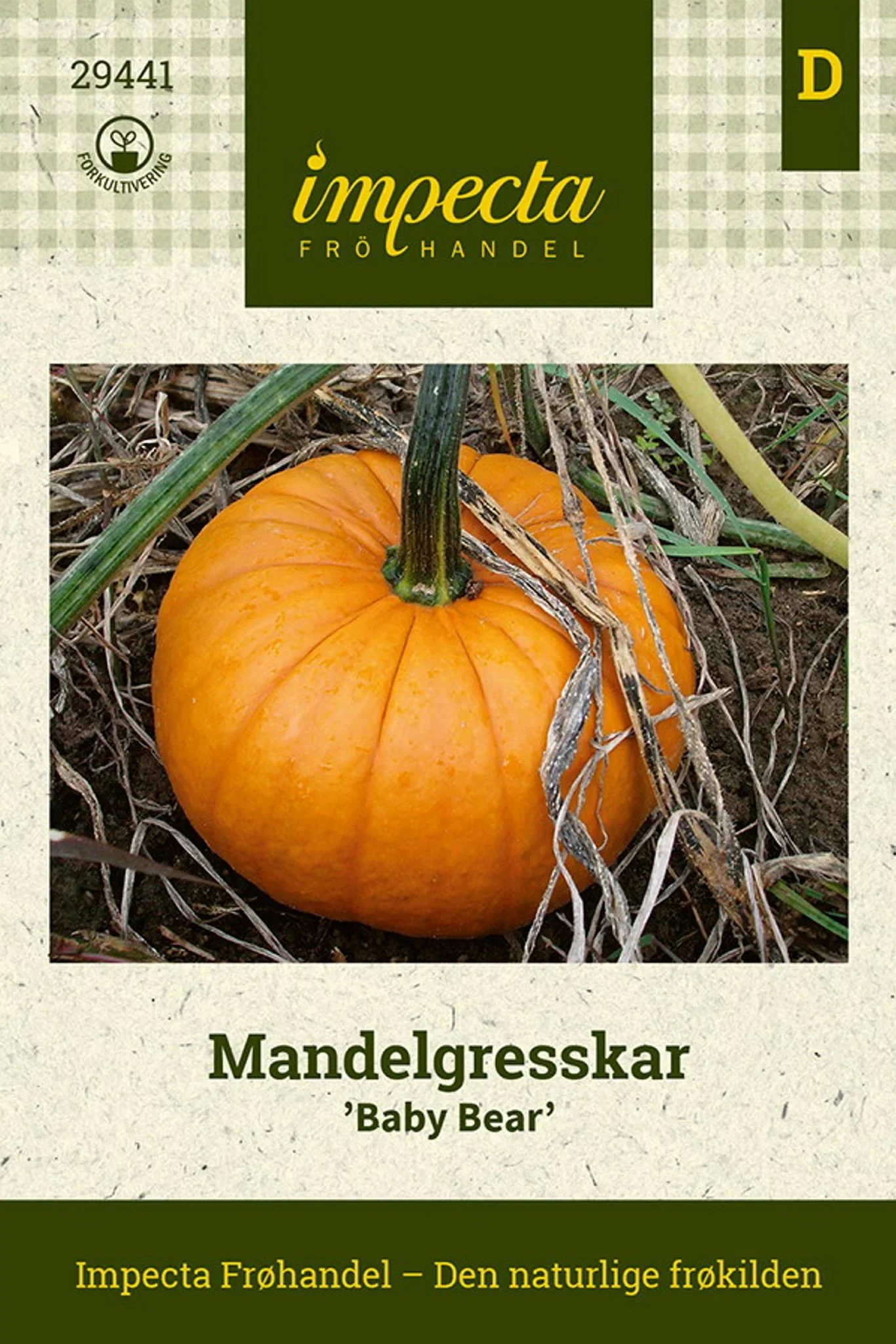 Cucurbita pepo 'Baby Bear' Mandelgresskar 'Baby Bear'