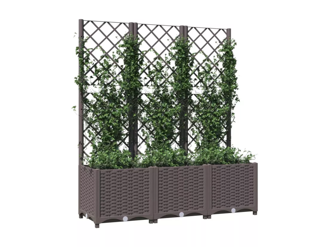 Jardinière avec treillis Marron 120x40x136 cm PP
