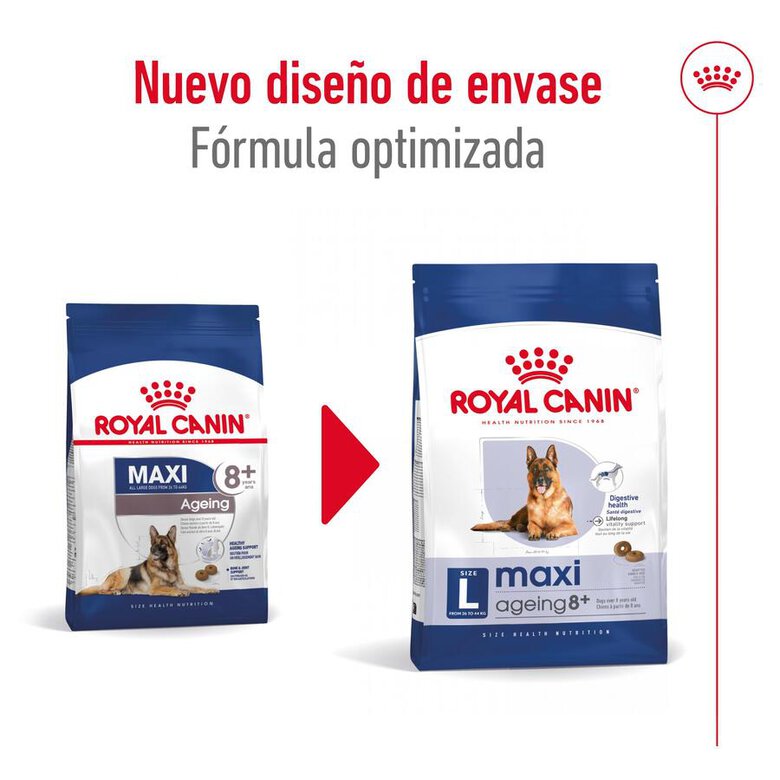 Ração Royal Canin Maxi Ageing para cães com mais de 8 anos