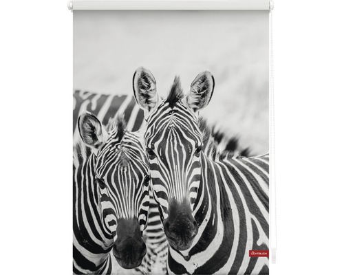 Lichtdoorzicht klemrolgordijn, geen boren nodig, Zebra 45x150 cm, inclusief klembeugels