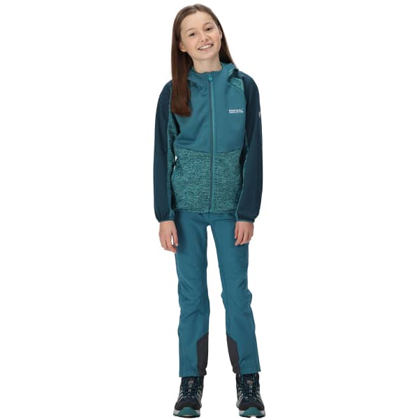 Veste polaire randonnée REGATTA DISSOLVER VI PAGODA/DRGNF