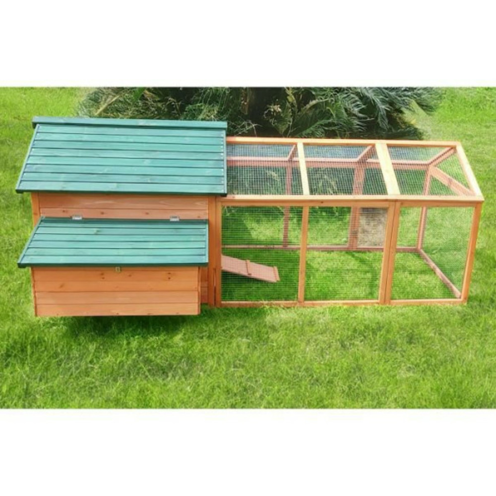 Poulailler en bois sapin 6 a 8 poules l233 x 151 x 96.5 cm