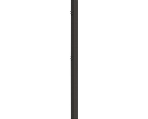 ALBERTS Madrid scharnierpaal 8 x 170 cm antraciet