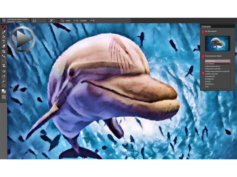 Corel Painter Essentials 8 ESD, Vollversion Einsteiger-Malprogramm für Windows