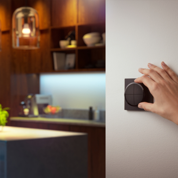 Philips Hue tap zwart