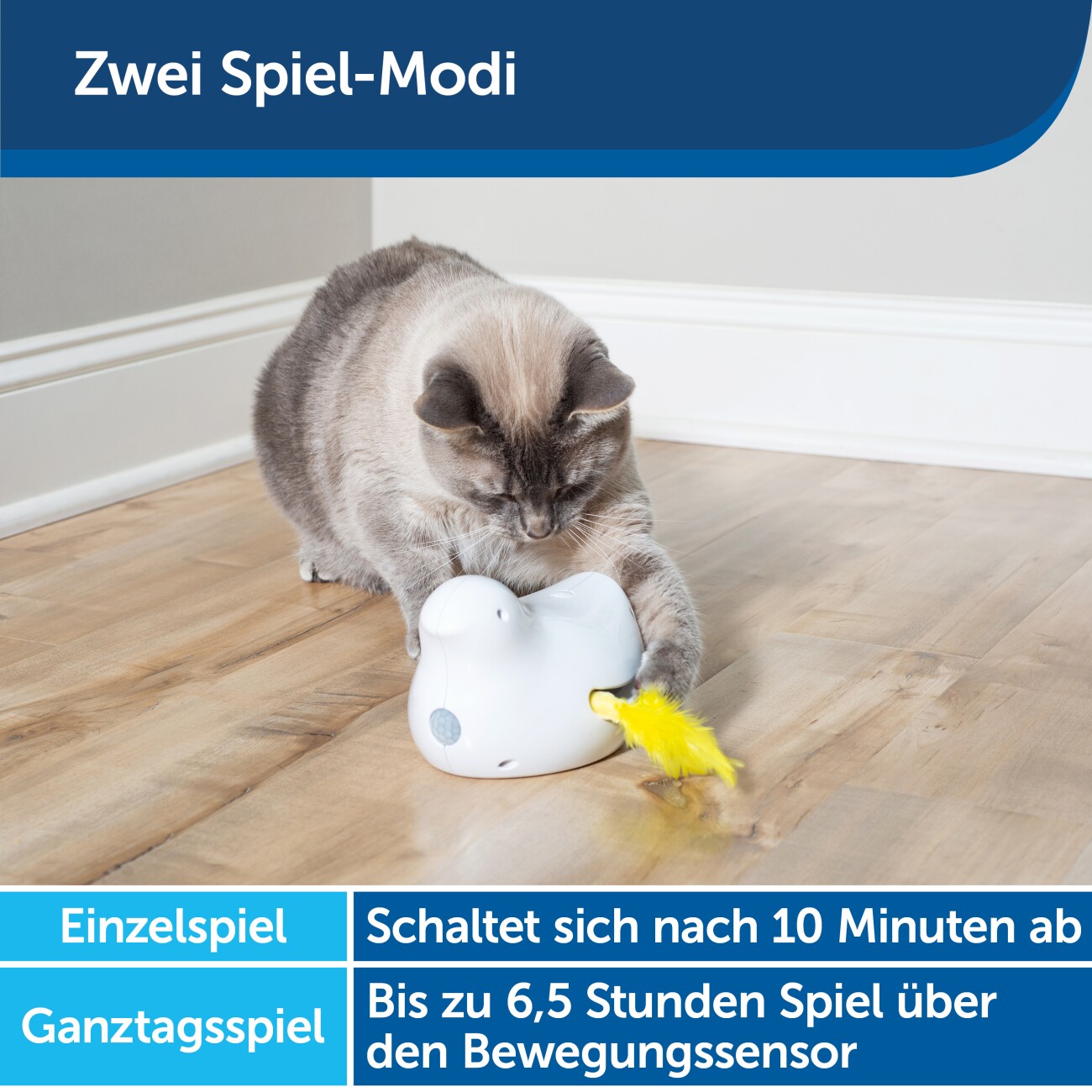 PetSafe Peek-a-Bird Katzenspielzeug