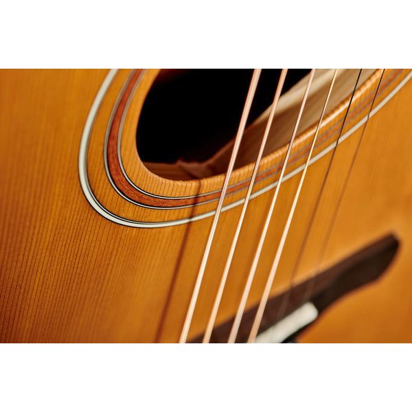 Ibanez AW65-LG