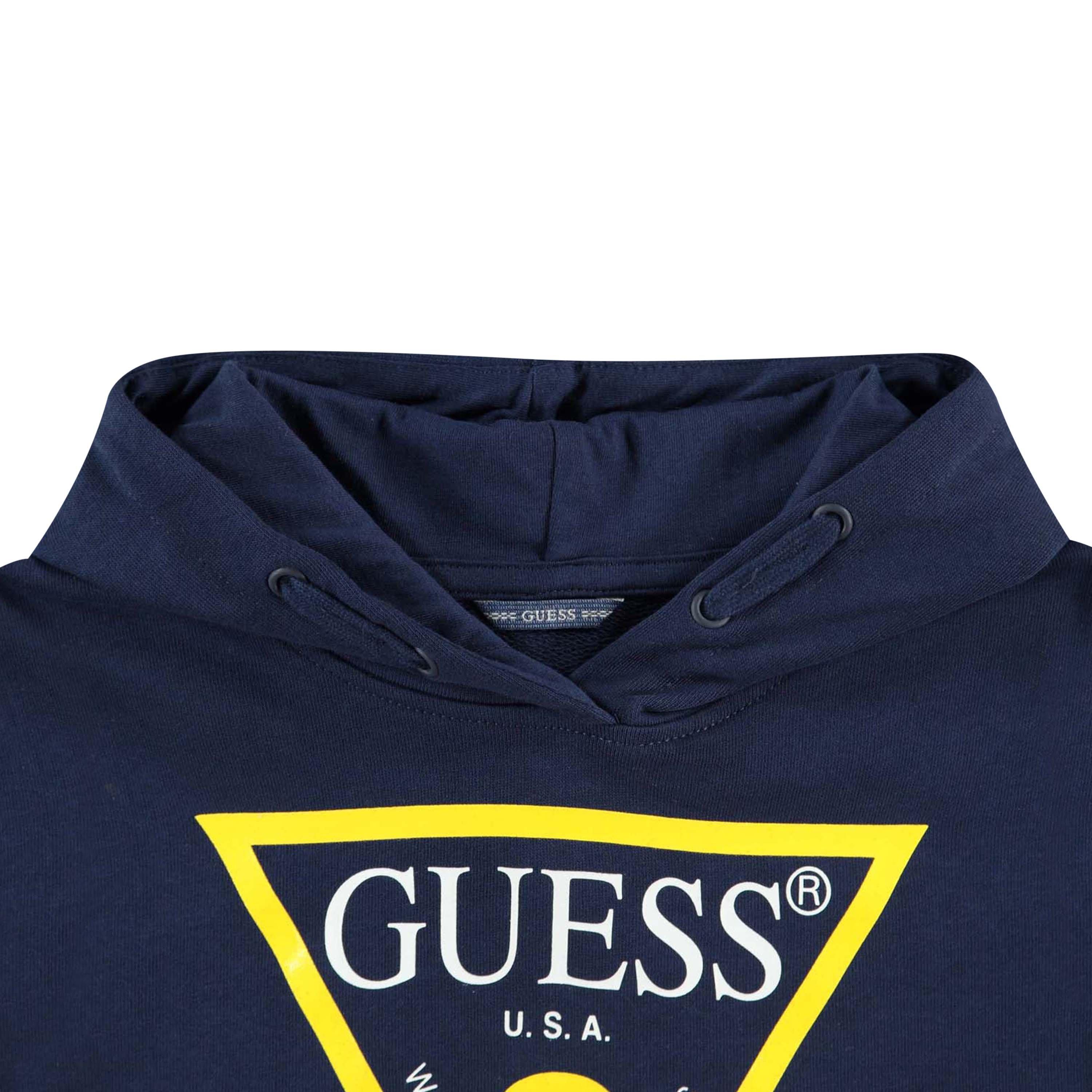 Guess Triangle Logo OTH Hoodie
