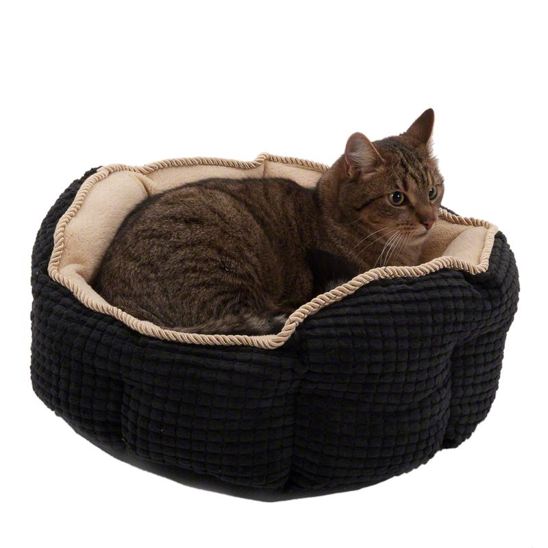 Panier Cozy Kingdom à prix discount sur bitiba.fr
