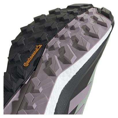 Chaussures de Randonnée adidas Terrex Free Hiker 2.0 GTX Gris Noir Femme