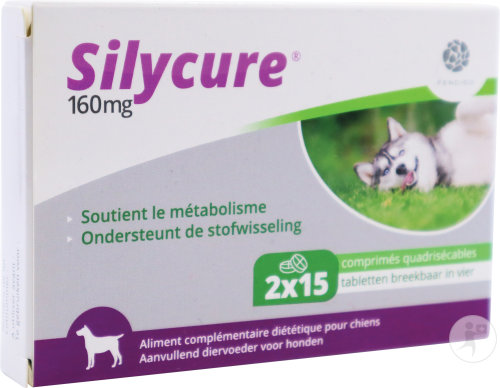 Silycure 160mg Chiens 2x15 Comprimés
