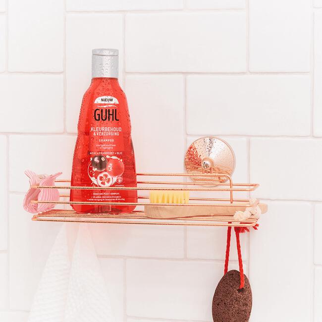 Guhl Kleurbehoud & Verzorging Shampoo 250 ML