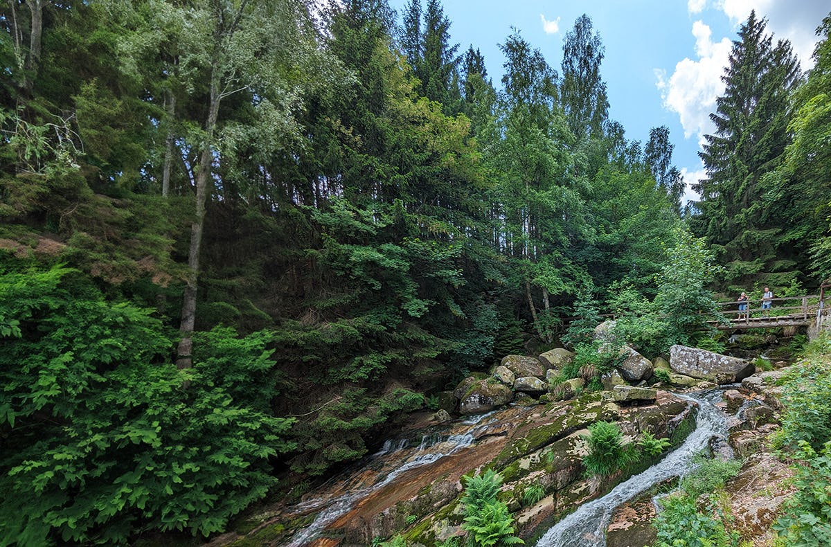 Wanderurlaub im Harz für 2