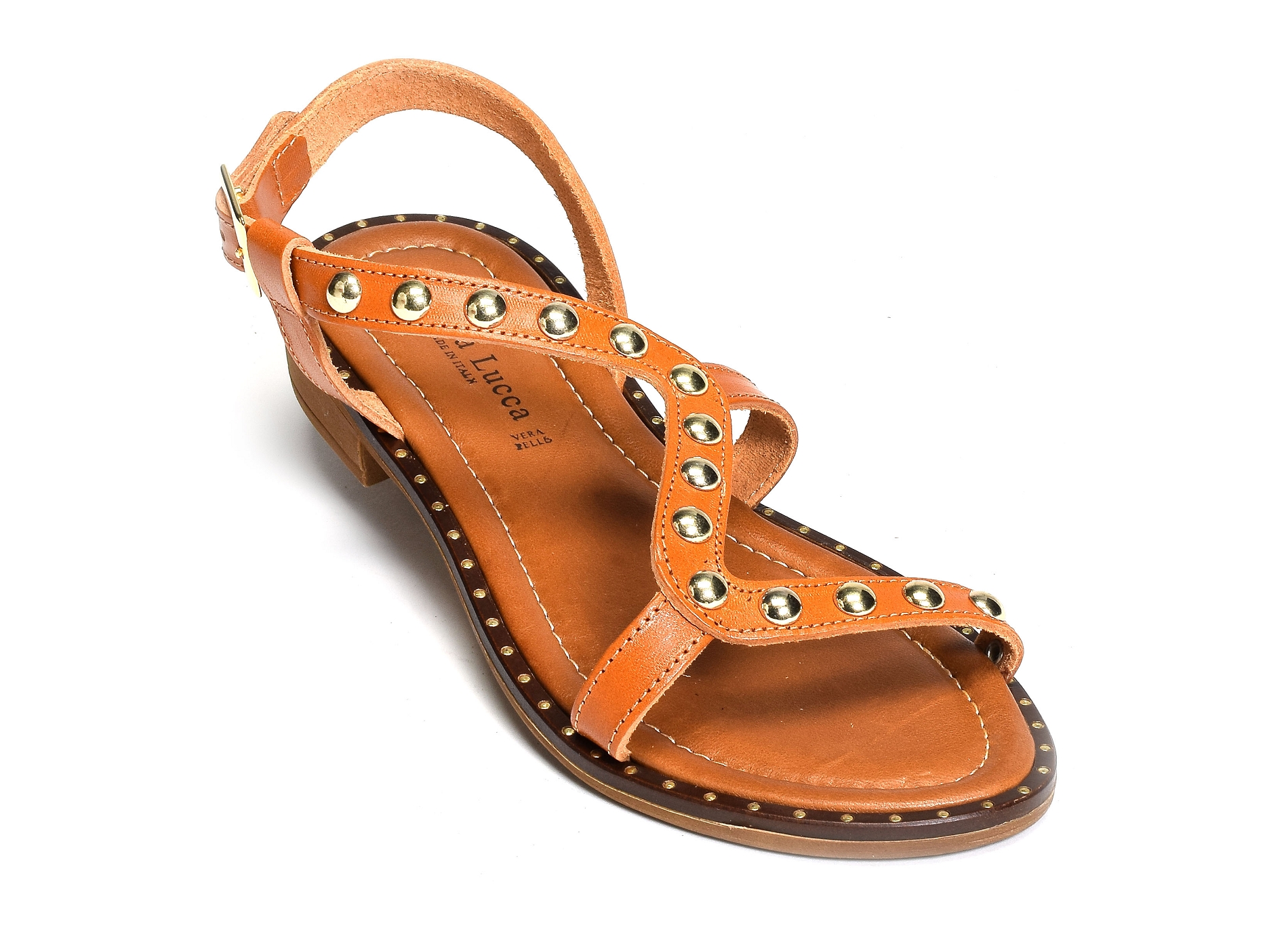 1360 camel