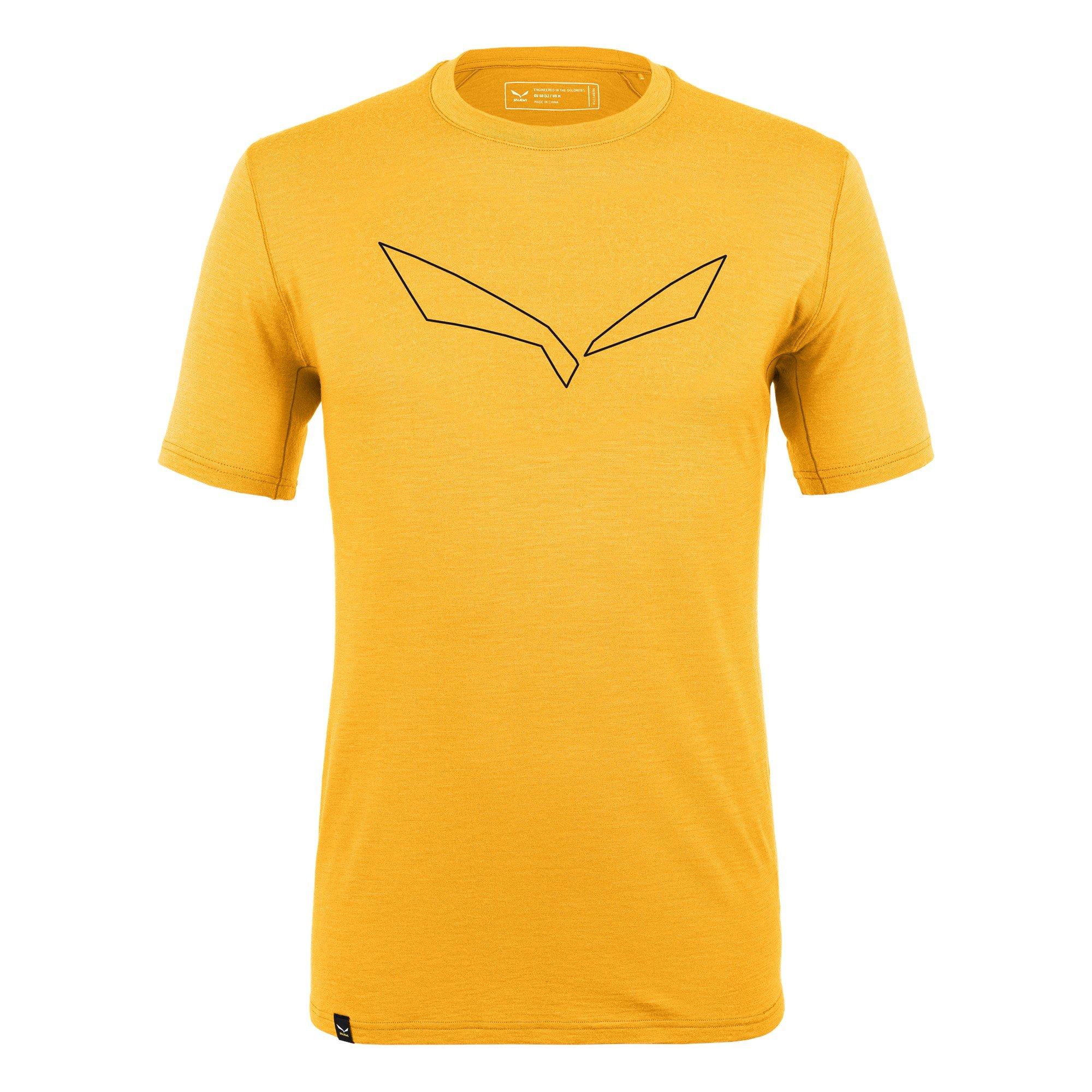Salewa Pure Eagle Frame Dry T shirt Mens.