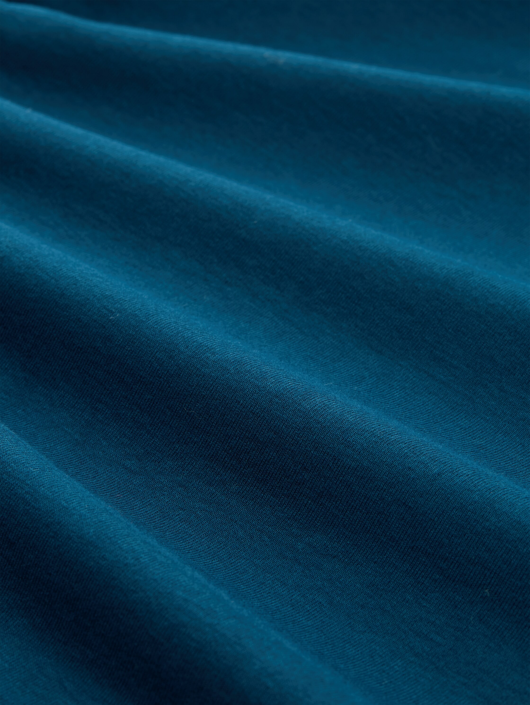 TOM TAILOR Rollkragenshirt , mit Rollkragen