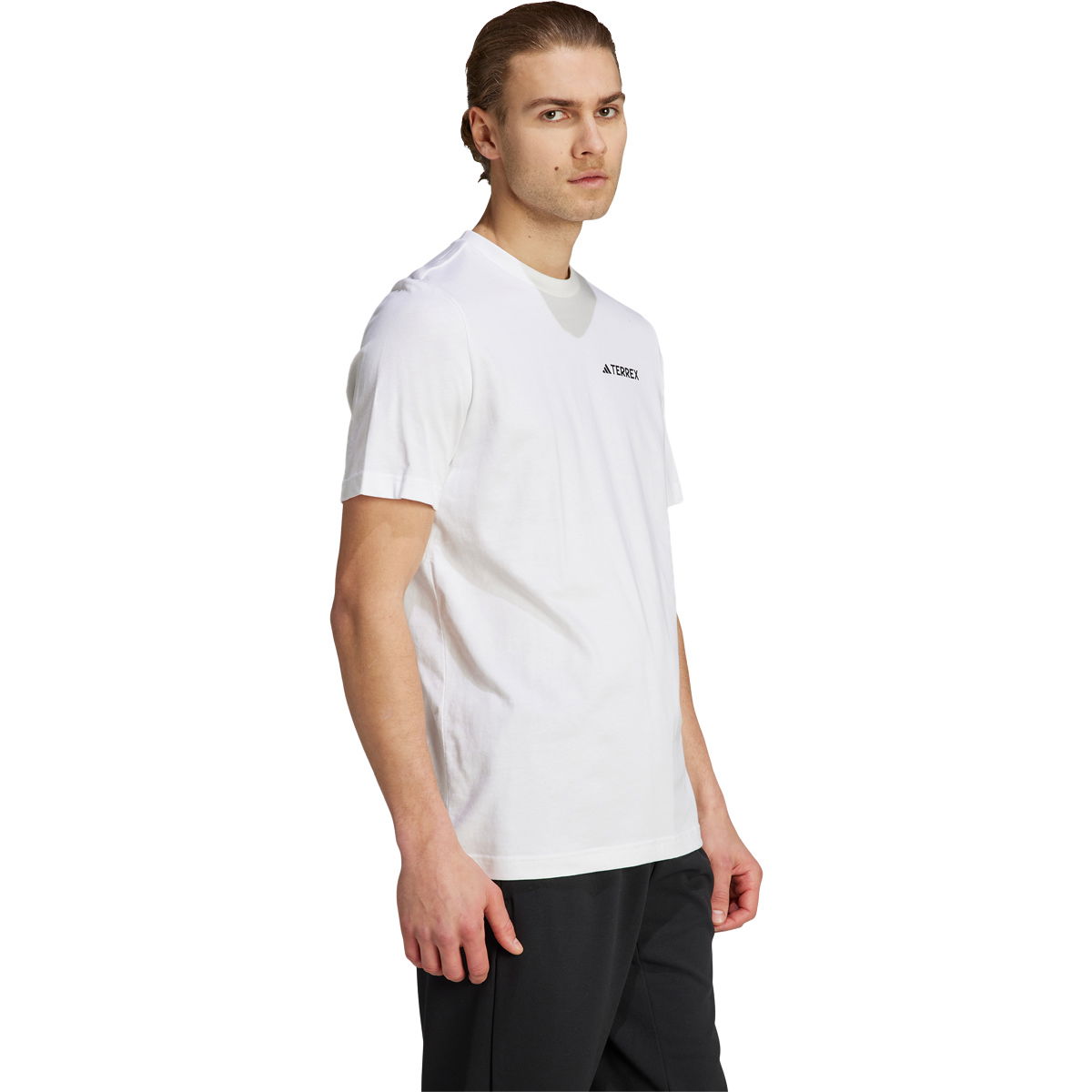 adidas Terrex Graphic Mountain 2.0 T-shirt Herre