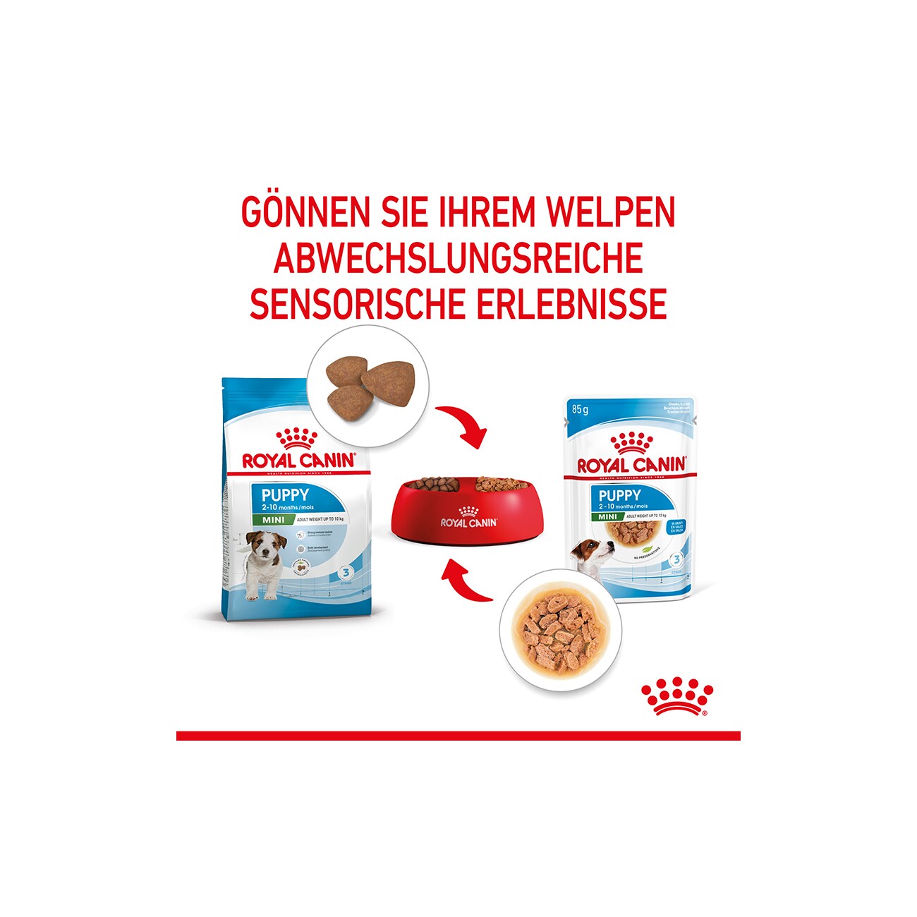 ROYAL CANIN Mini Puppy 12x85g