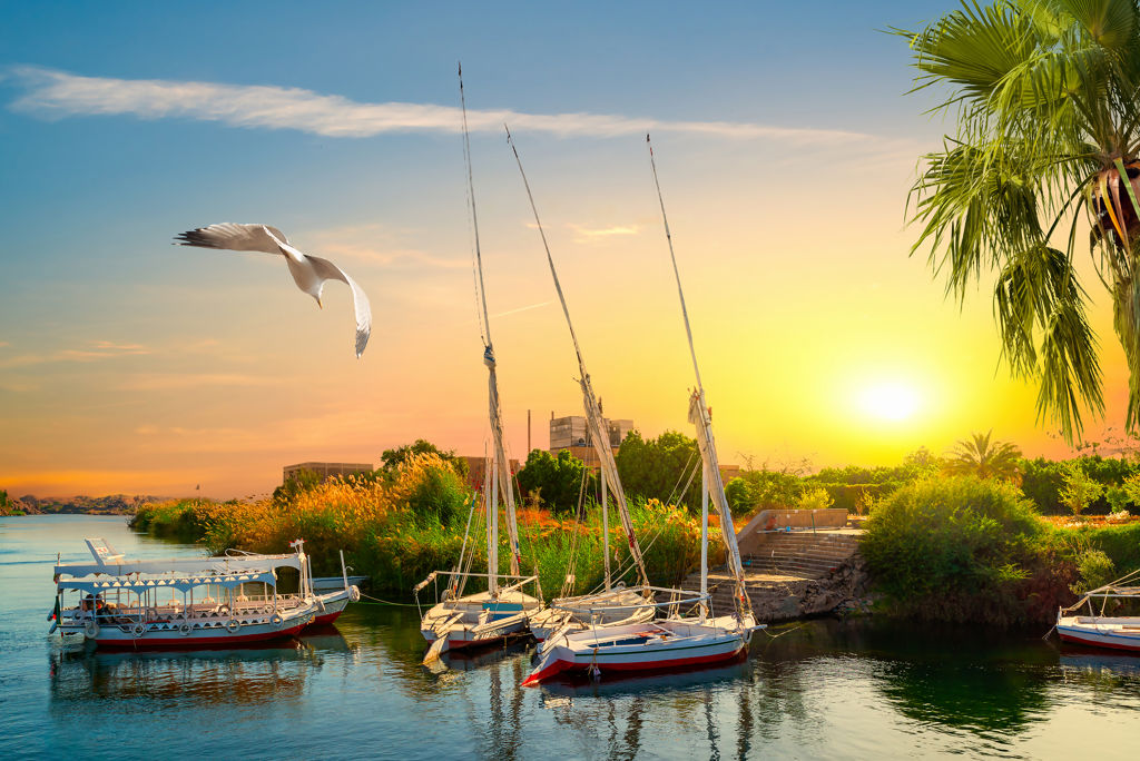 Nijlcruise 5* & Cleopatra Luxury Beach 5* Zie beschrijving