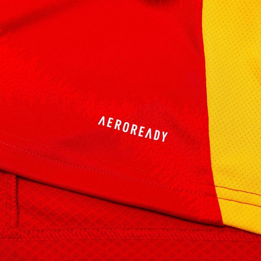 Espagne Maillot Domicile 2024/25 Enfant