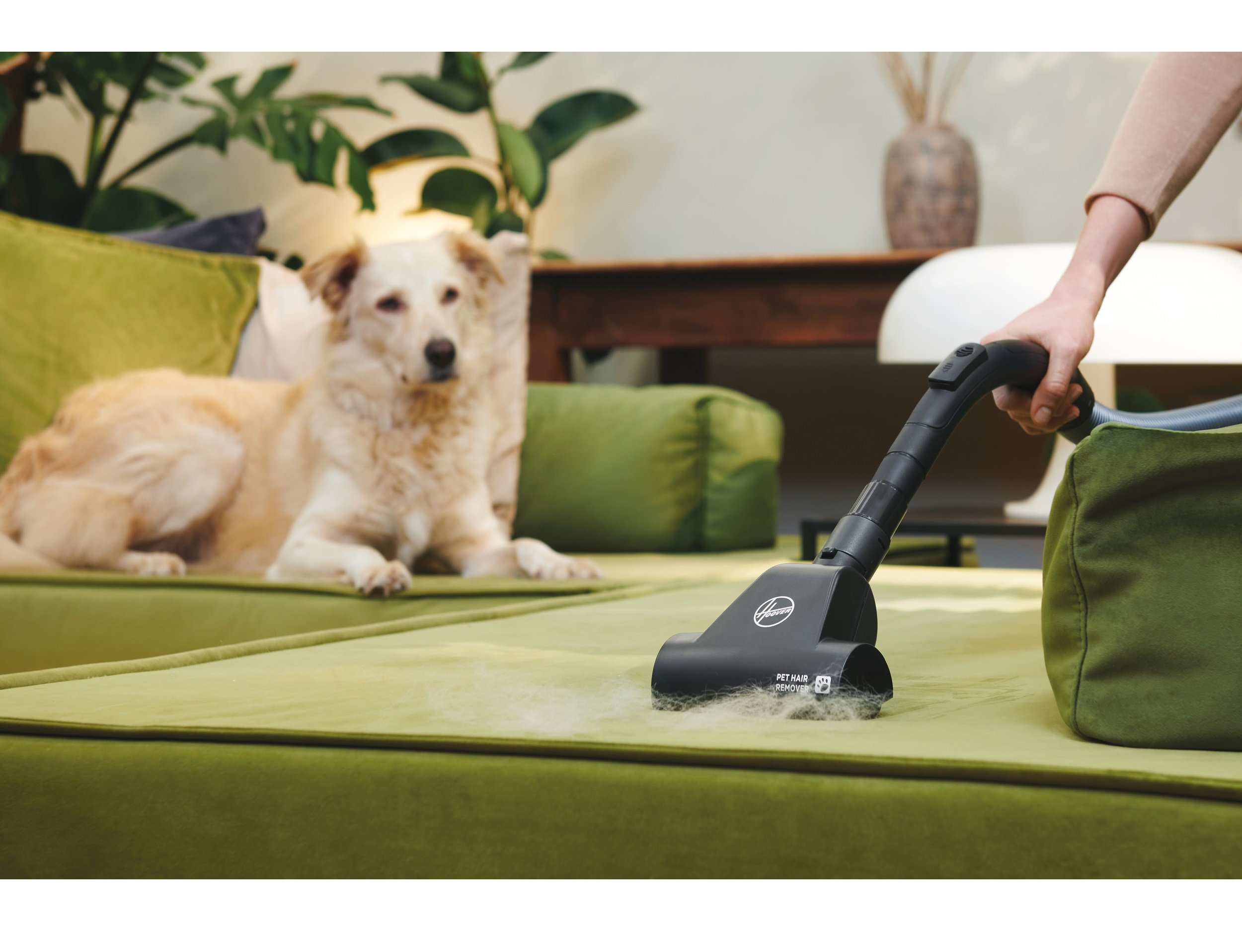 ASPIRADOR SEM SACO HOOVER HP120PET 011 700W