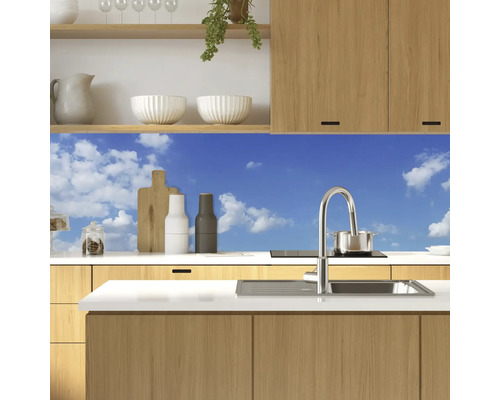 Keukenachterwand mySpotti Profix sky 100 x 60 cm PX-10060-880-HB