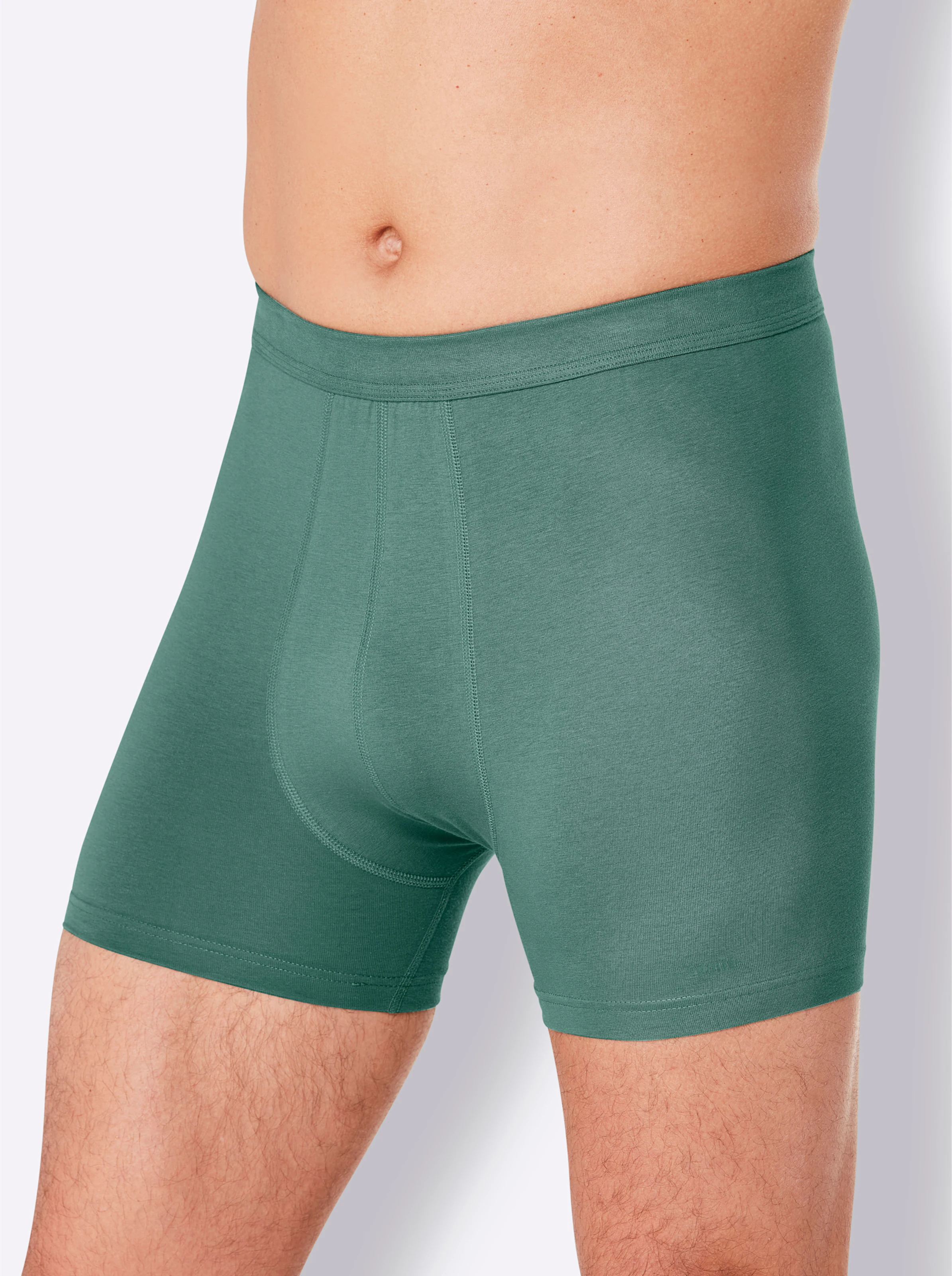 Comte Pants in salbei