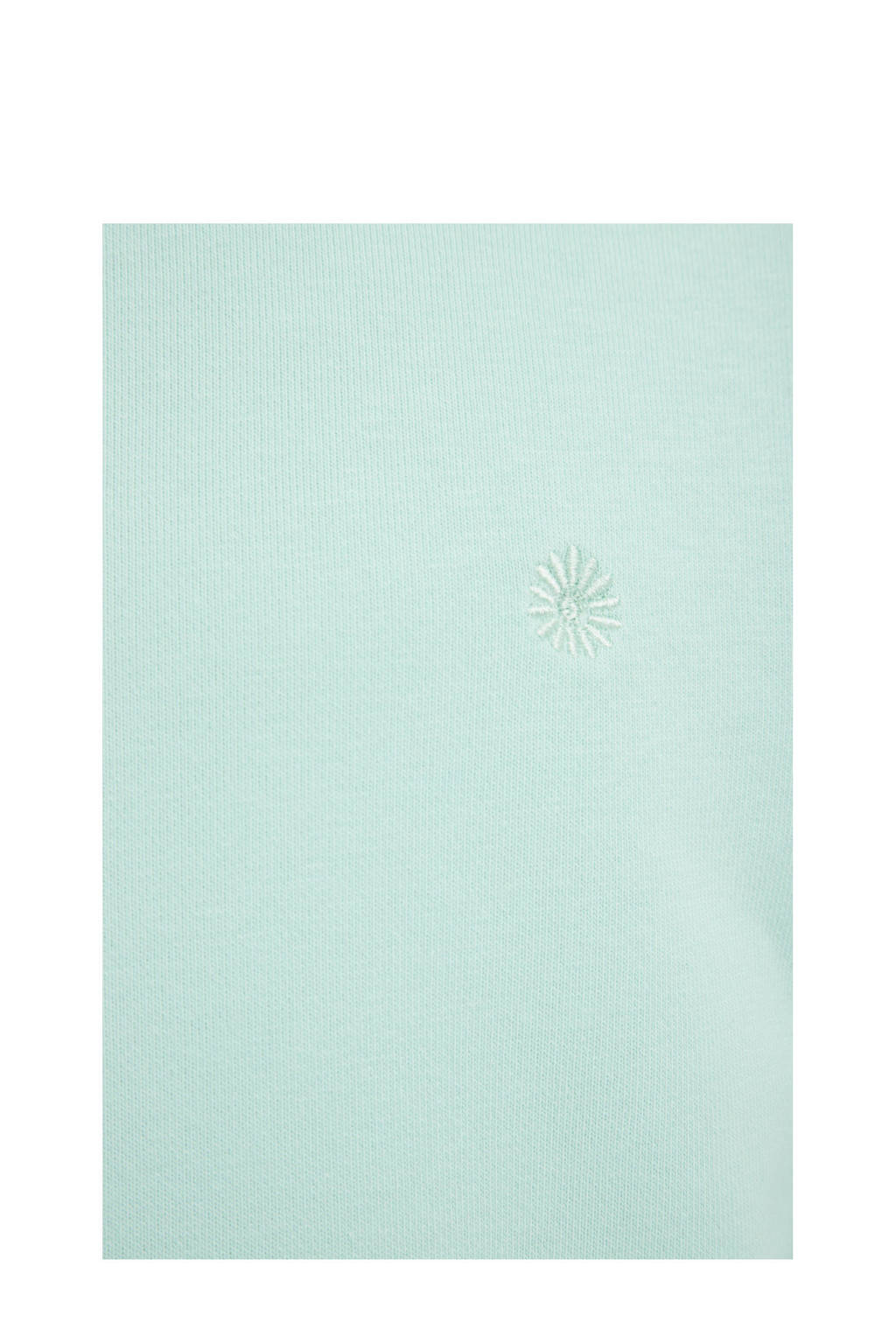 WE Fashion sweater mintgroen