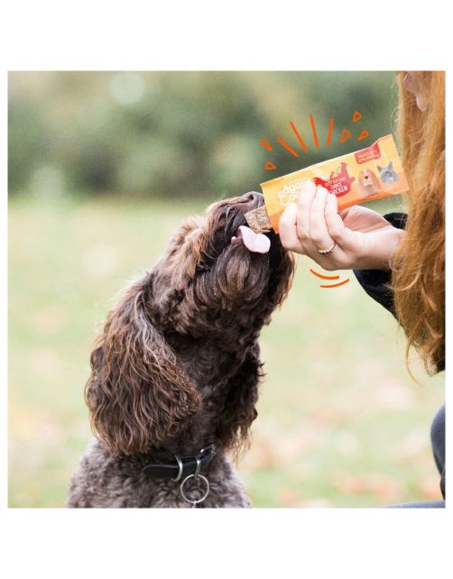 Edgard&Cooper Beef Busy Day Bar 25 g - Hondensnacks