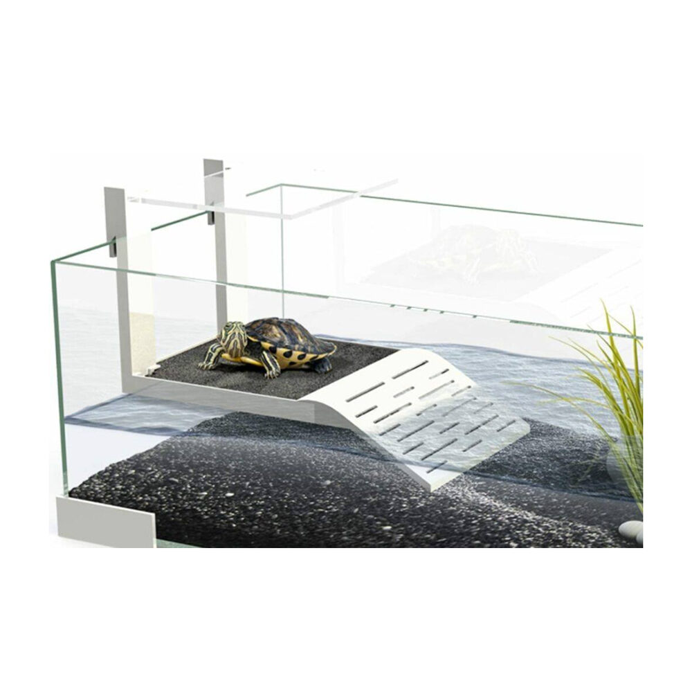 Ciano Tartarium