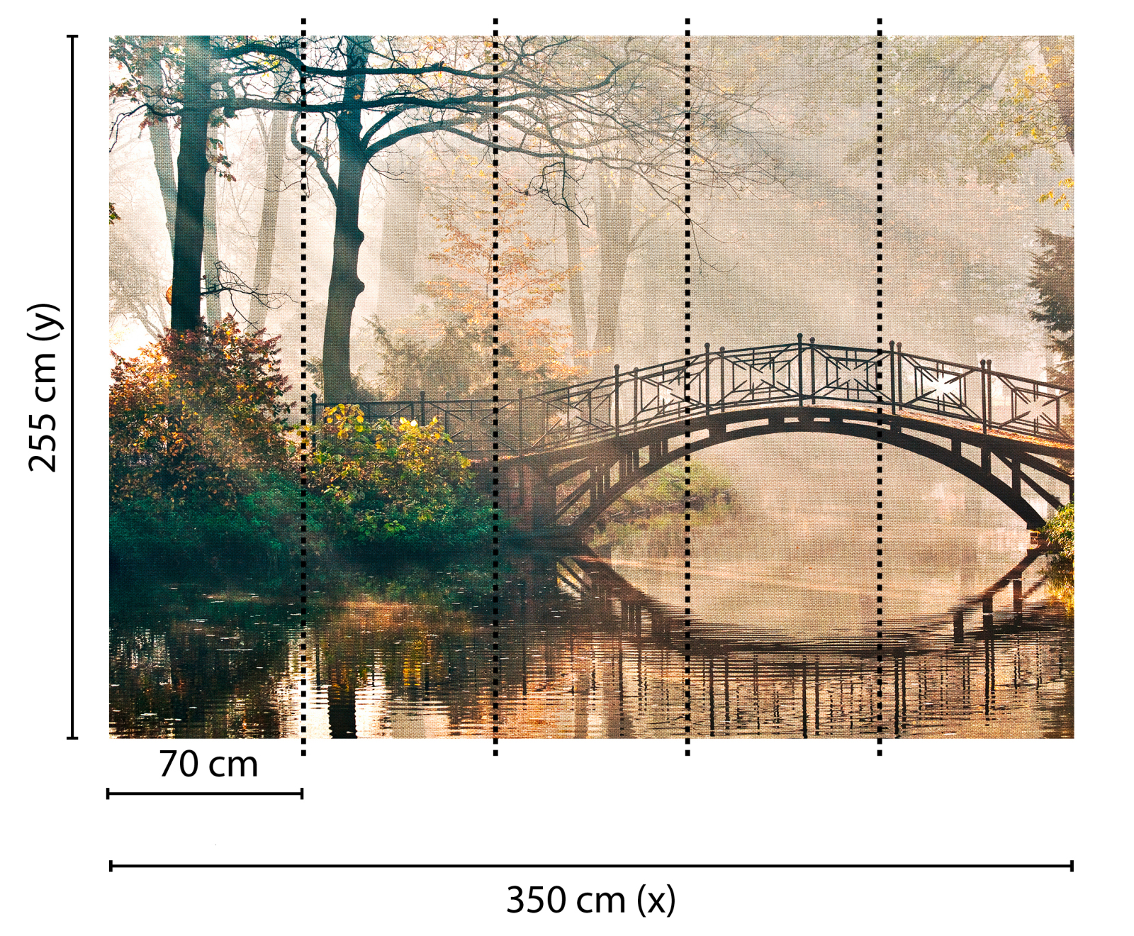 Fototapete DESIGNWALLS - braun-grün - Wald - 2,55 Meter
