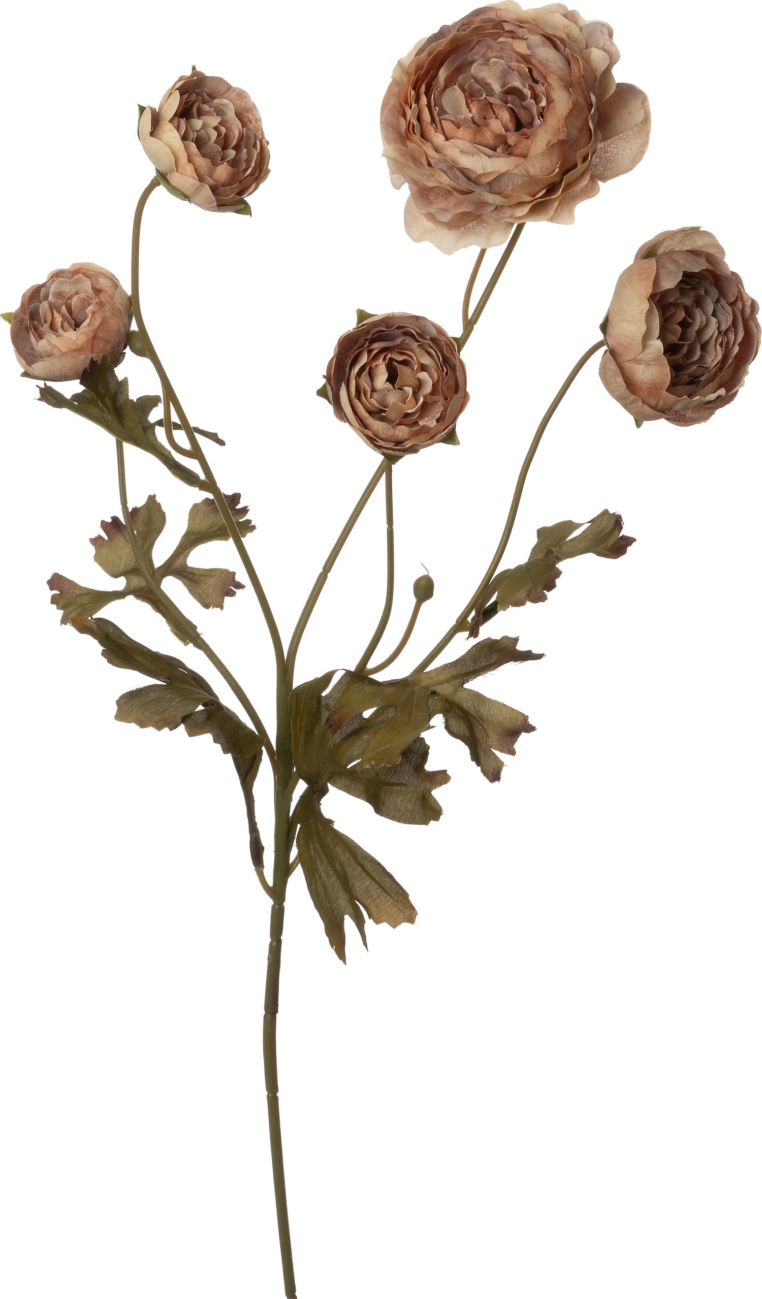 Intratuin kunstbloem Ranonkel bruin 62 cm