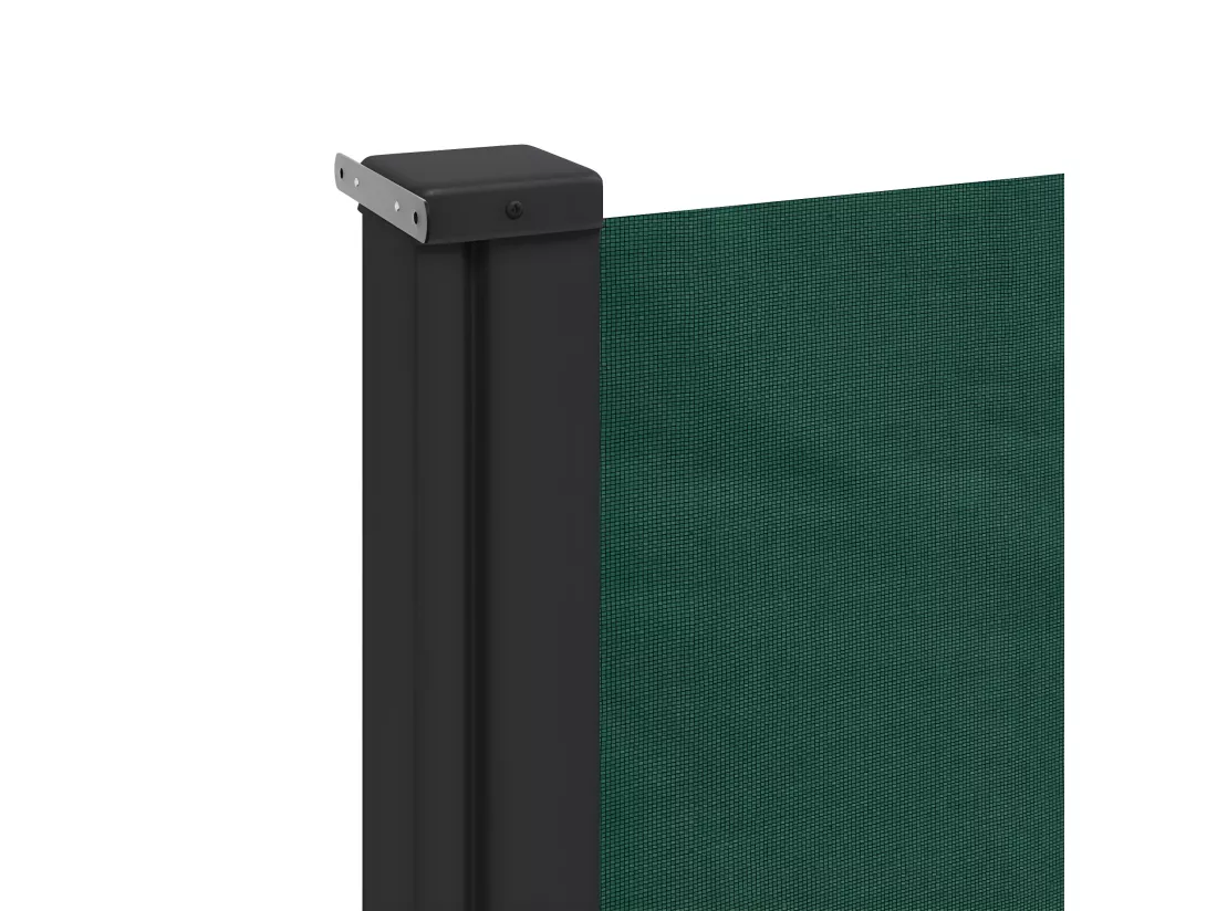 Auvent latéral rétractable vert foncé 200x500 cm