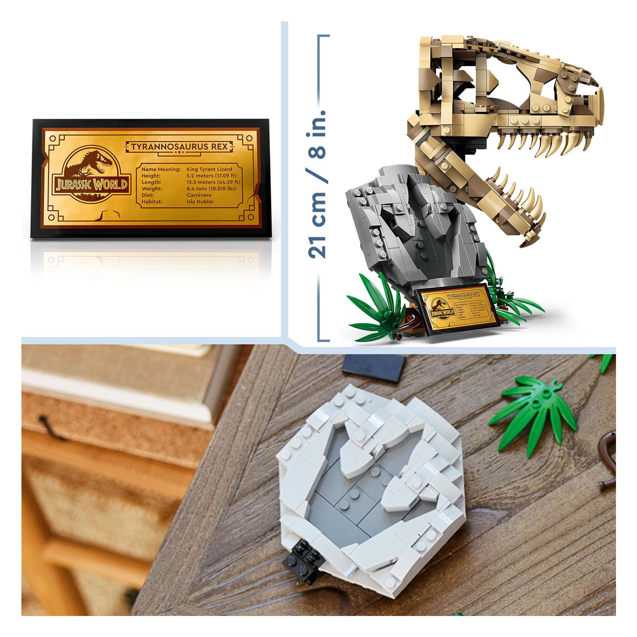 LEGO Jurassic World 76964 Dinosaurusfossielen: T-Rex Schedel