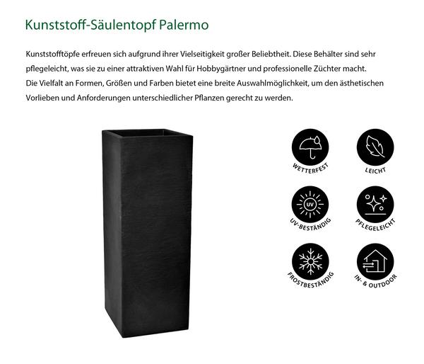 Dehner Kunststoff-Säulentopf Palermo,
