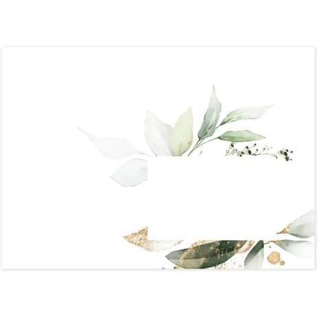 COLLECTION EUCALYPTUS, Paquet de 20 enveloppes imprimées Pollen 114x162mm 120g/m2 - Vert 1 - Vert