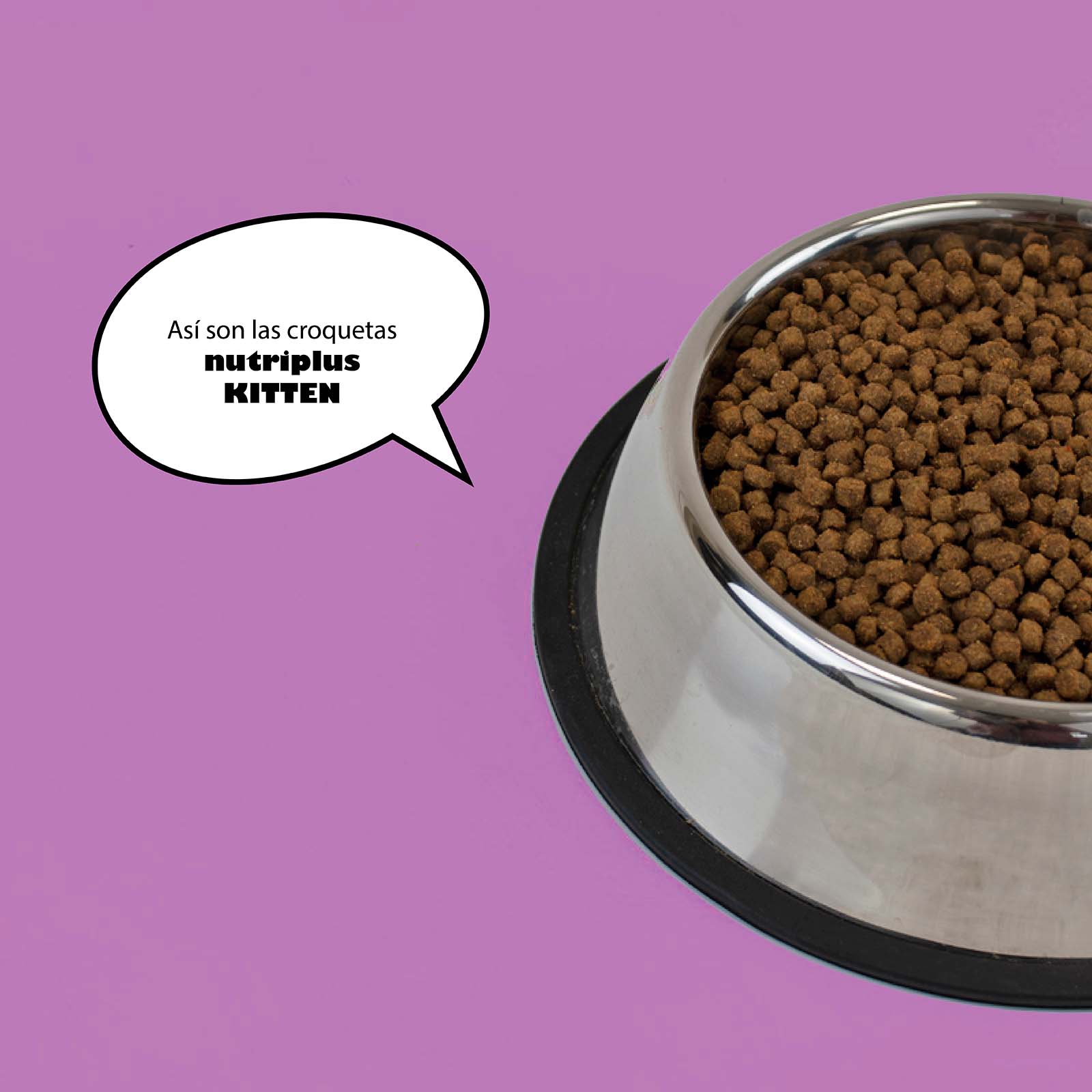 NUTRIPLUS GATINHOS (2 KG)