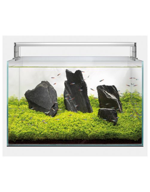 Superfish Scaper 140 - Aquaria - 77x45x40 cm Transparant