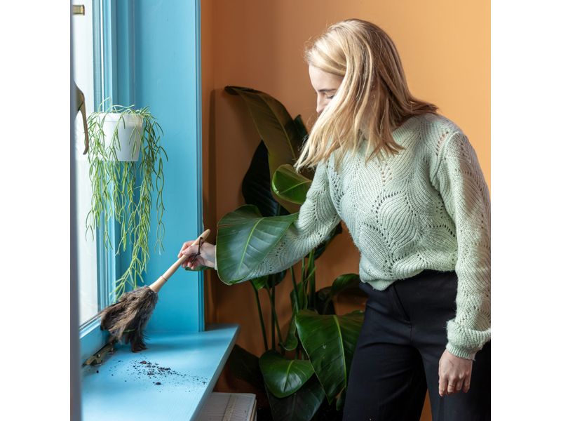 Esschert Design Staubwedel Nature Sanfte Staubentfernung für empfindliche Oberflächen