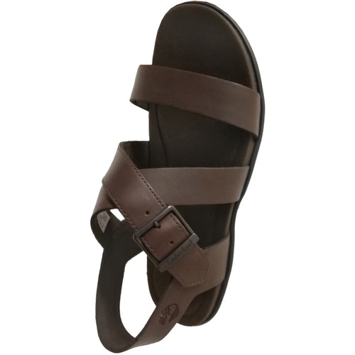 Timberland - Kesler cove backstrap Marrón
