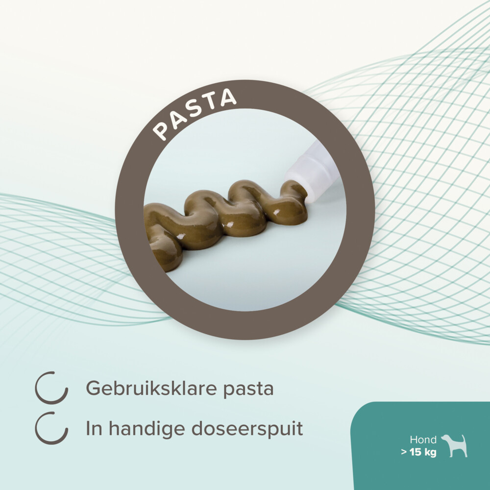 Beaphar IntestoPro Pasta Hond vanaf 15 kg20 ml