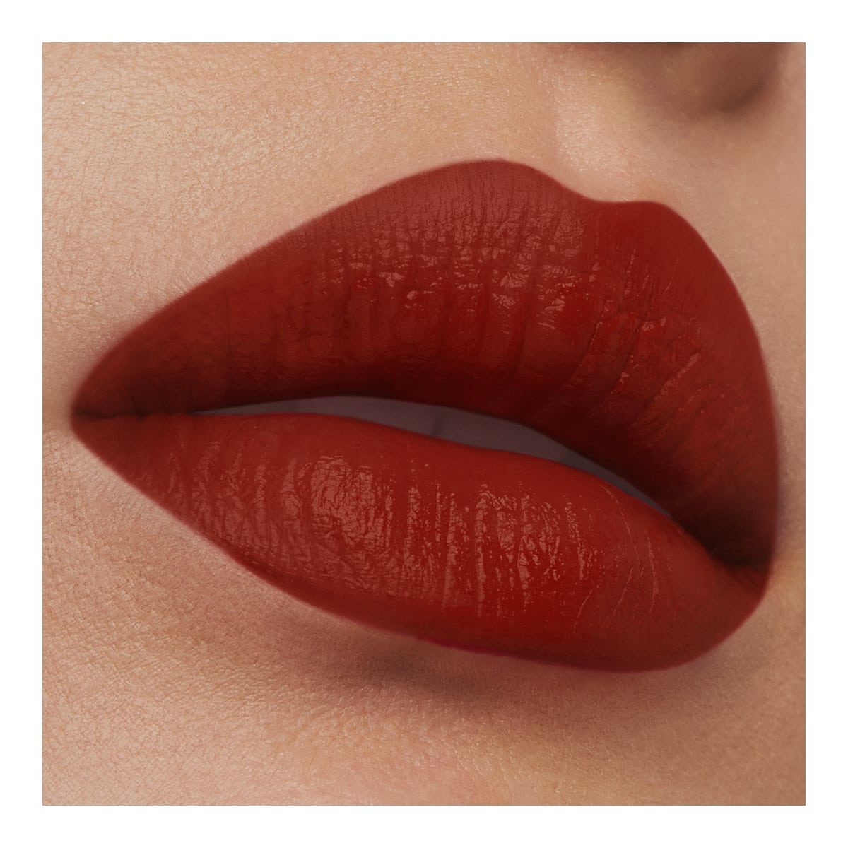 ESTEE LAUDER Pure Color Rouge à Lèvres Mat