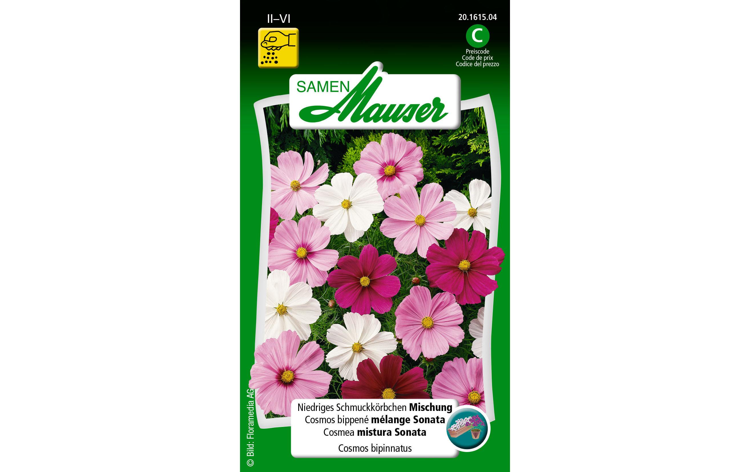 Saatgut Schmuckkörbchen niedrige Misch.Blumensamen